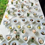 Piemonte Hotel 3*